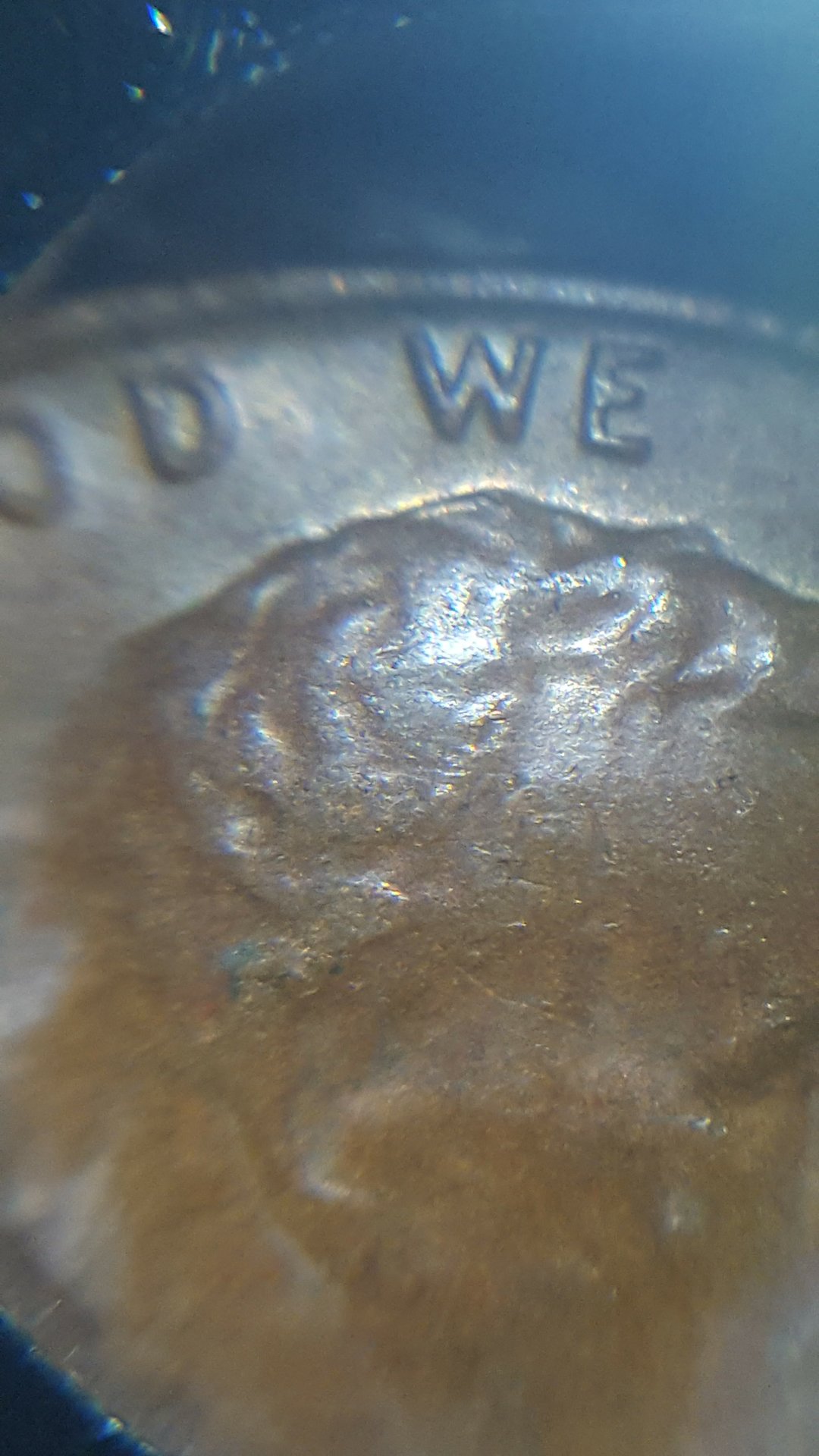 20180424_045246.jpg