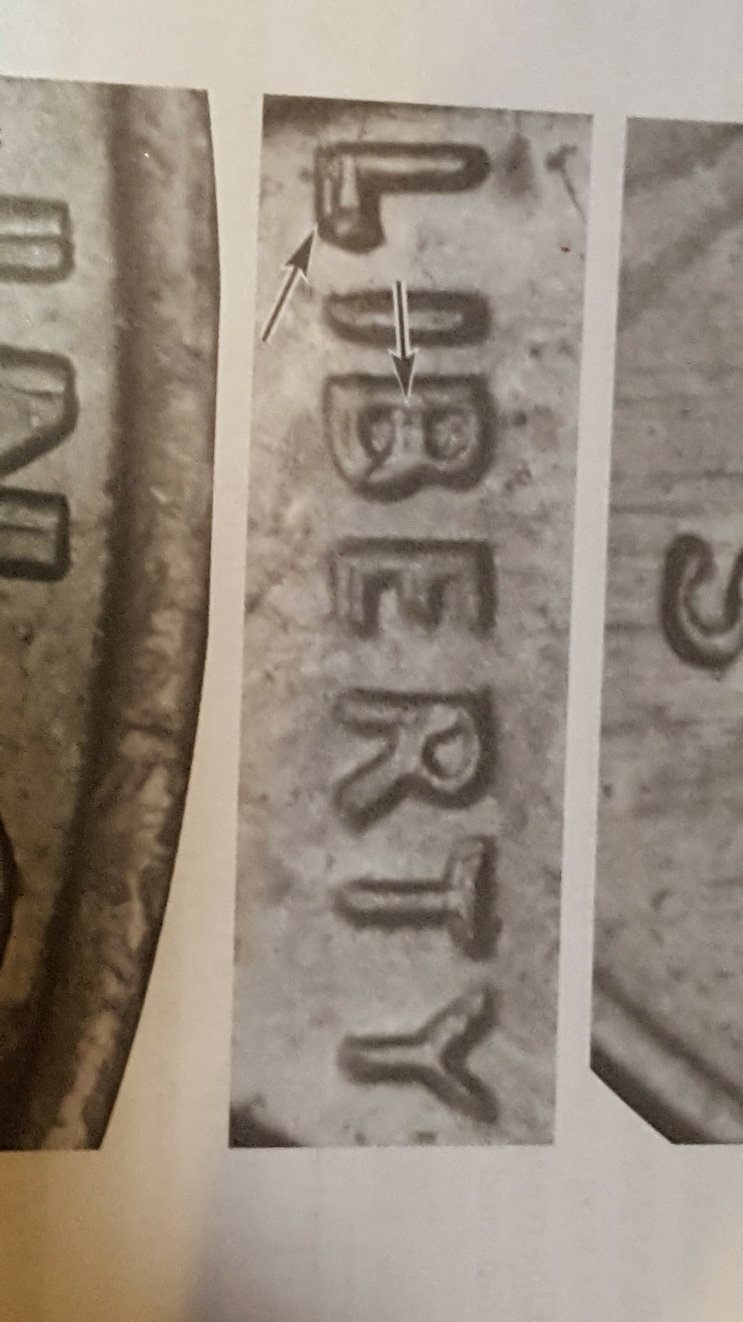 20180427_181353.jpg