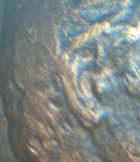 20180427_230836.jpg