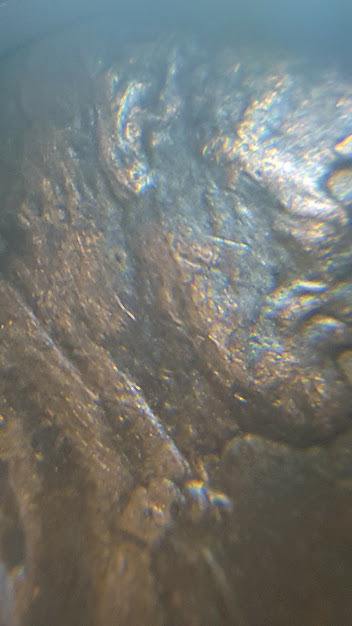 20180427_230937.jpg