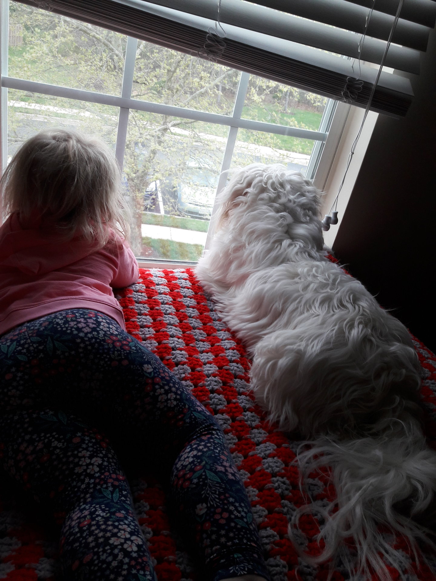 20180428_164141.jpg