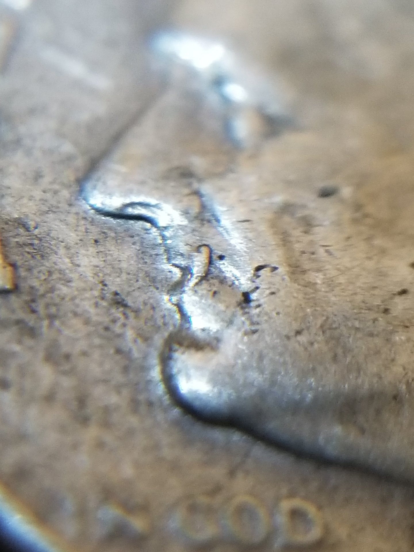 20180508_113303.jpg