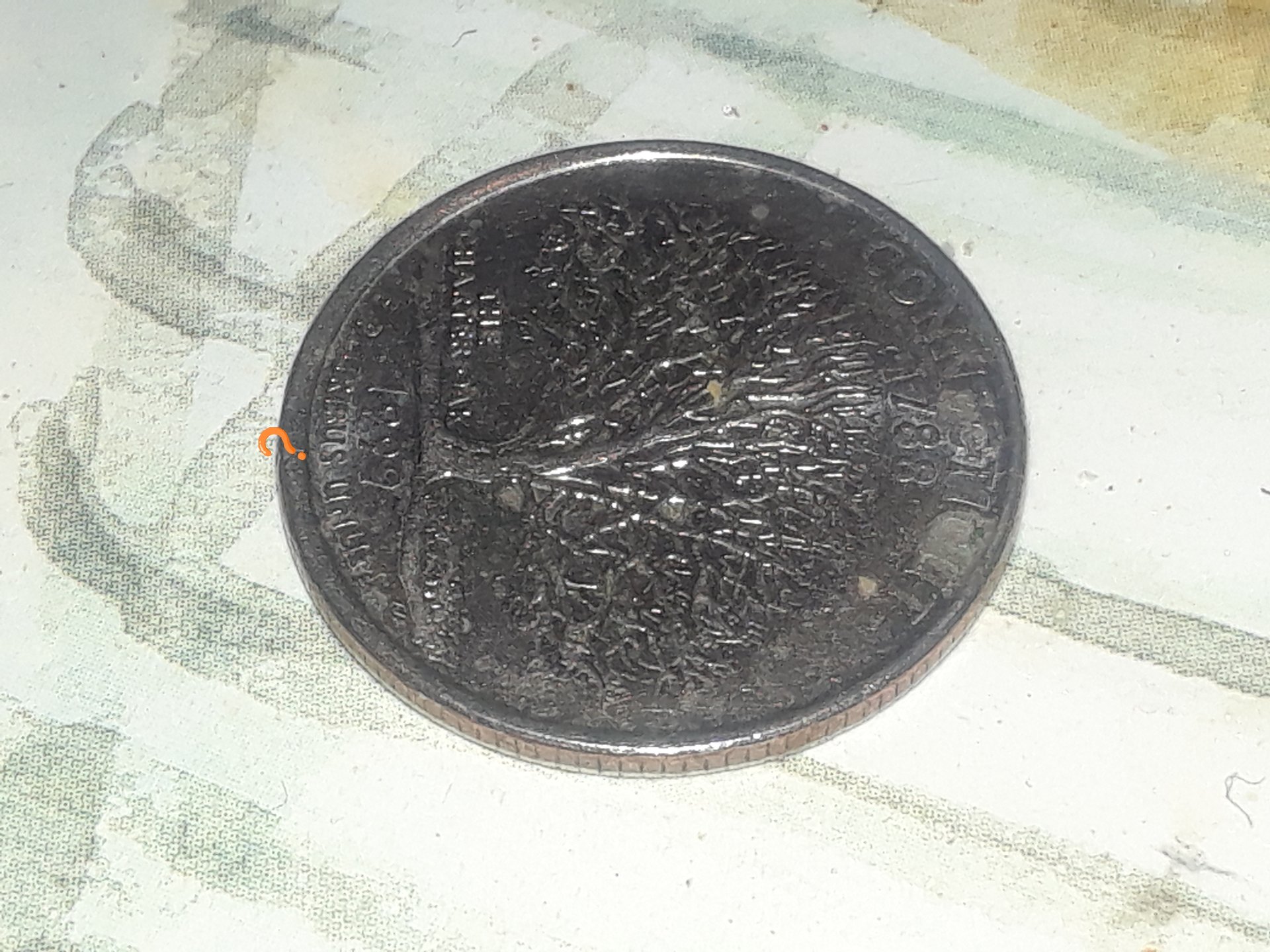 20180509_071801.jpg