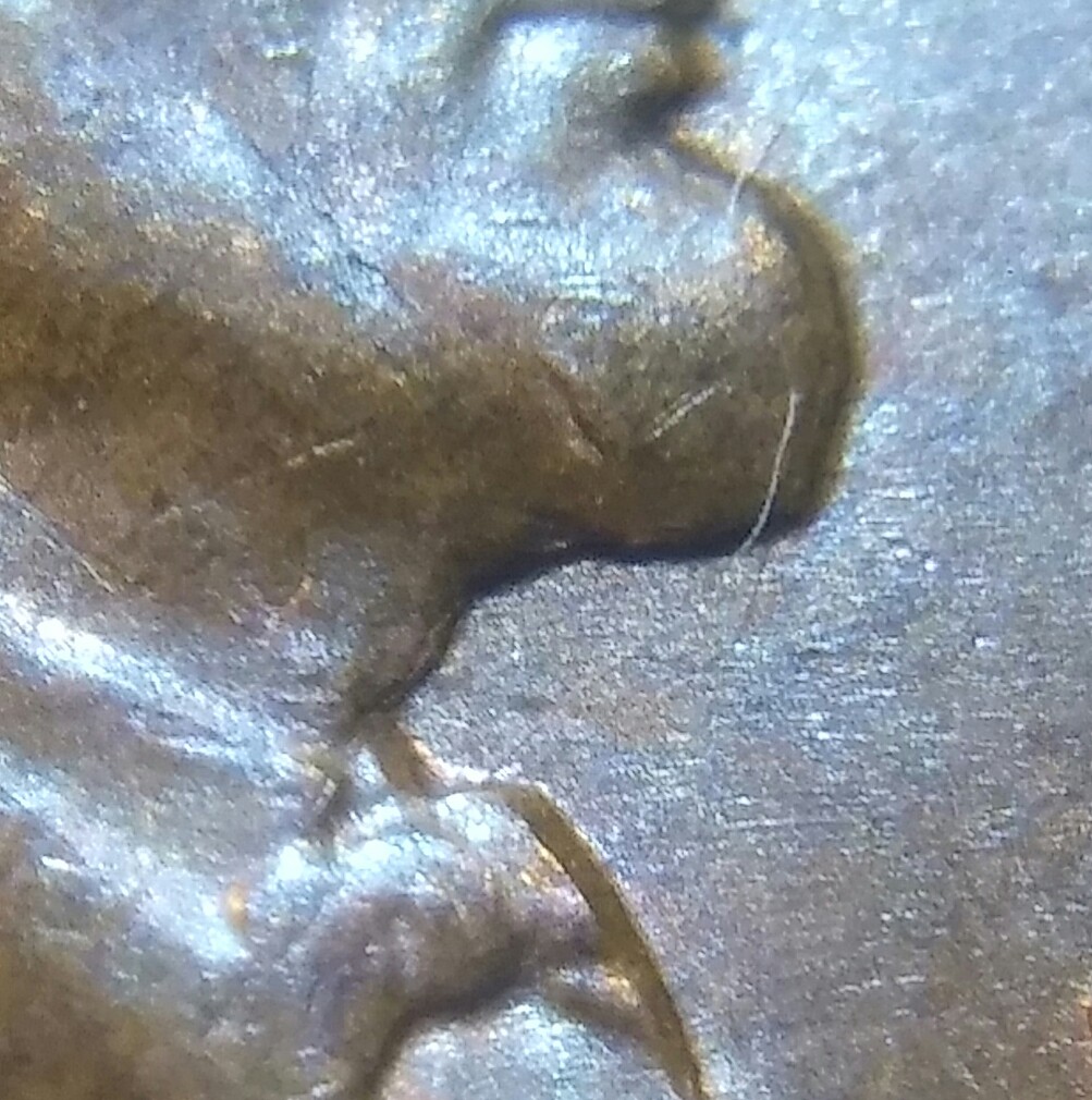 20180510_072801_HDR.jpg