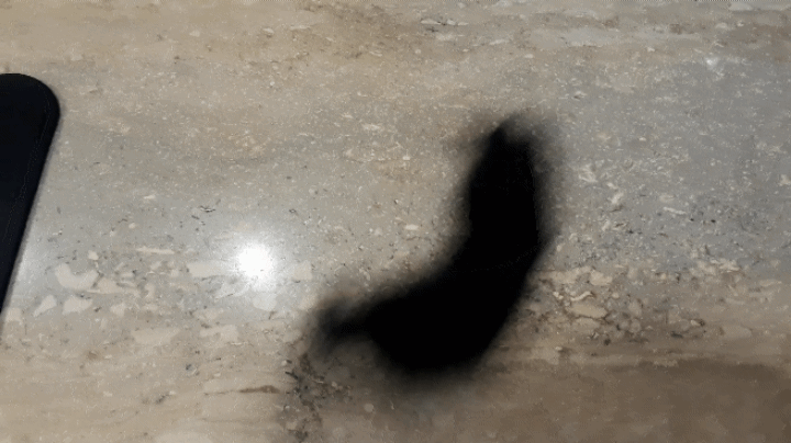 20180512_071643_1526124394324.gif