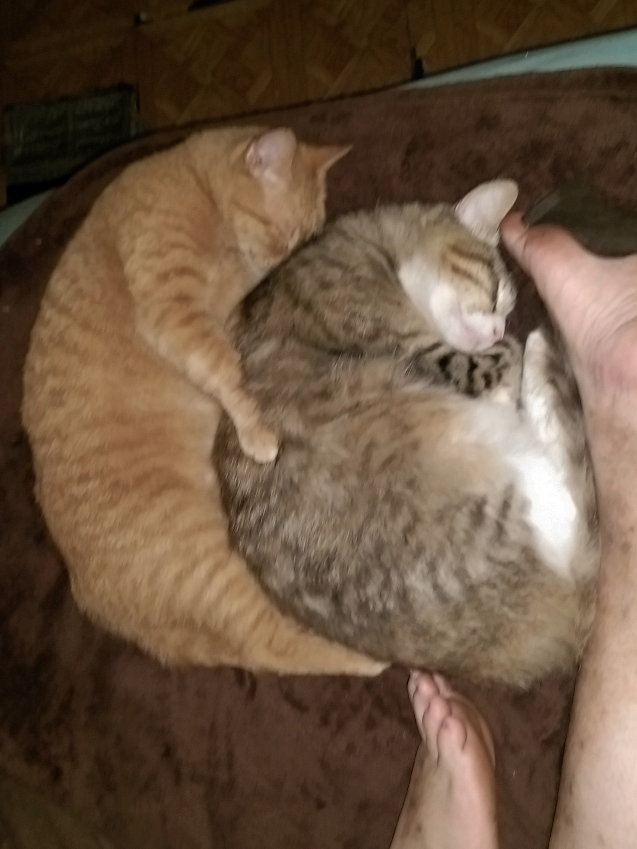 20180516_072651.jpg