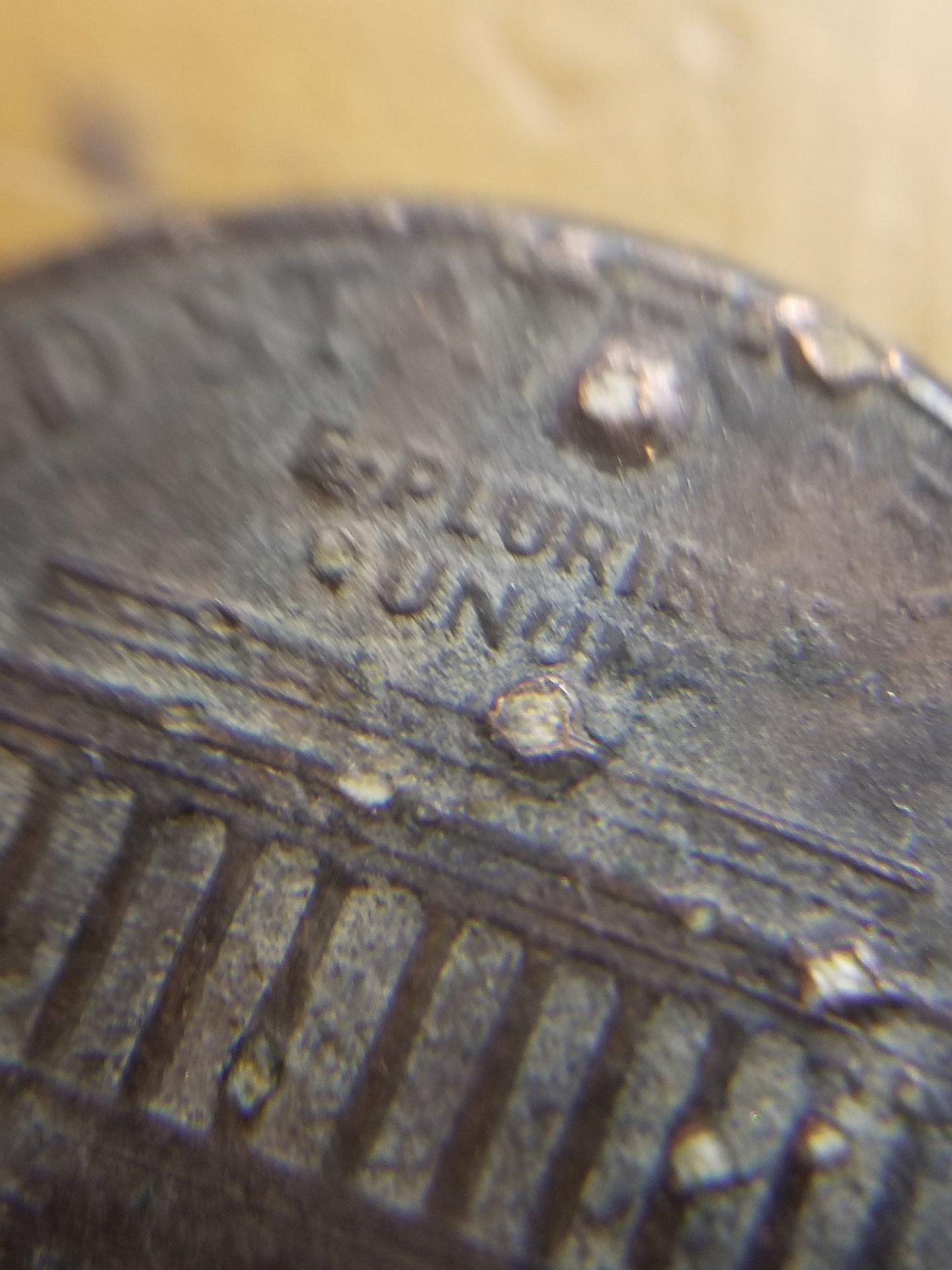 20180517_130055.jpg