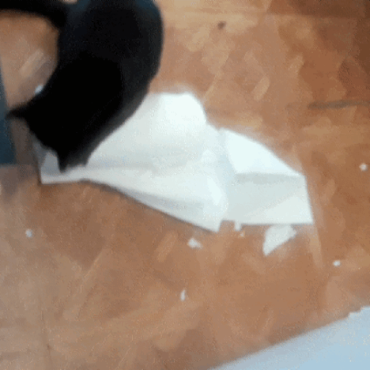 20180522_195104.gif