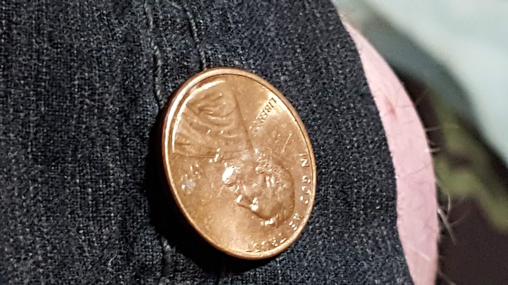 20180525_192041.jpg