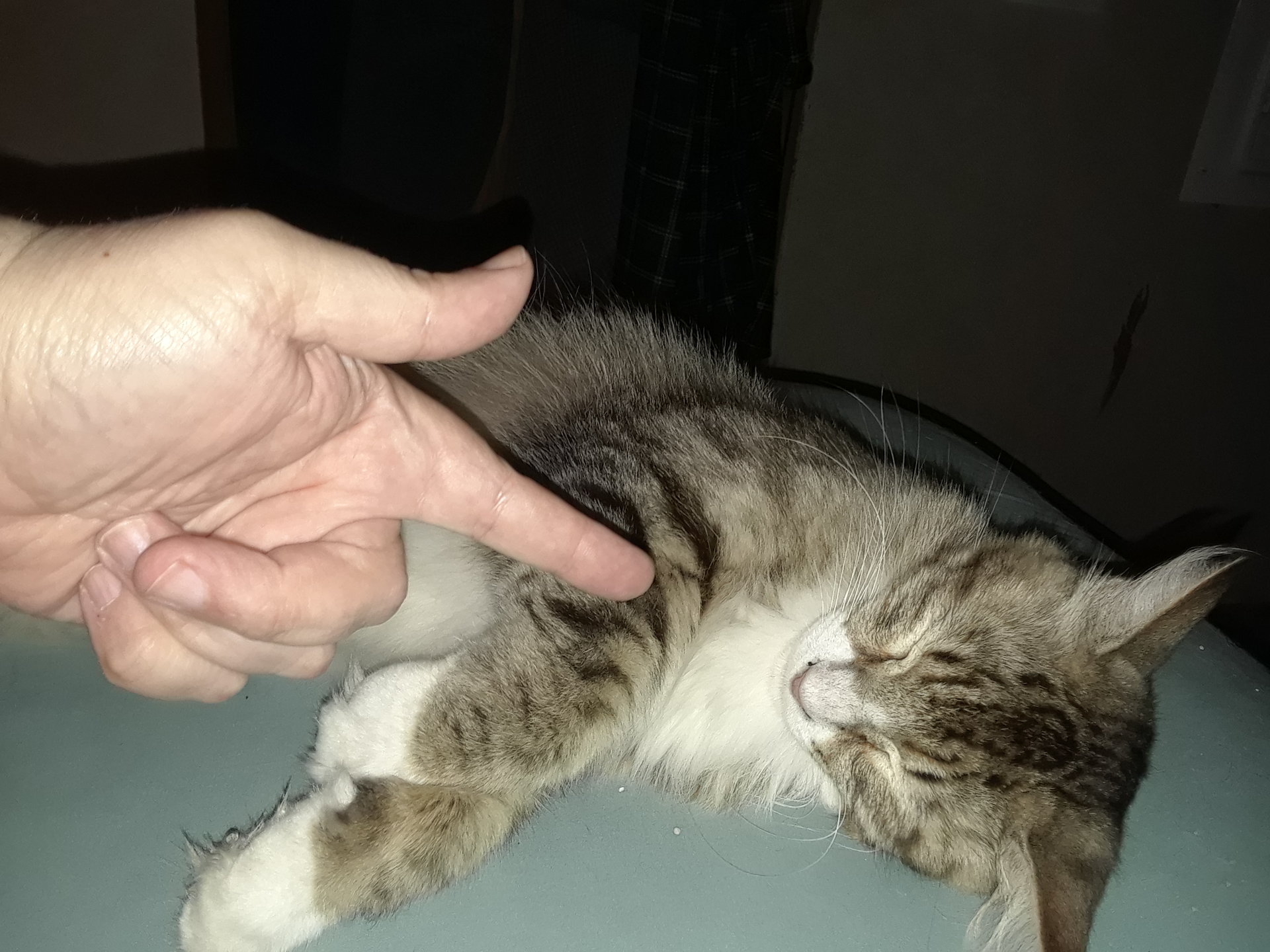 20180529_103744.jpg