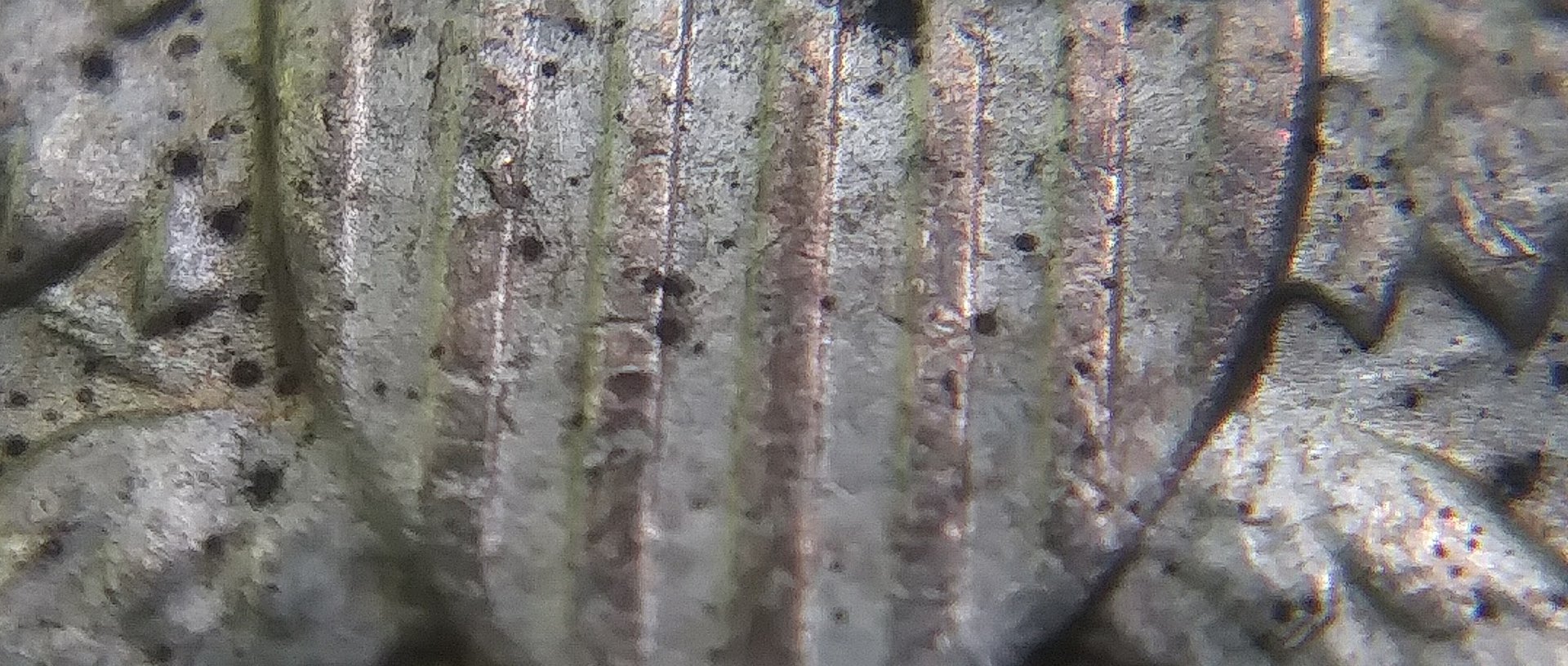 20180601_174149.jpg