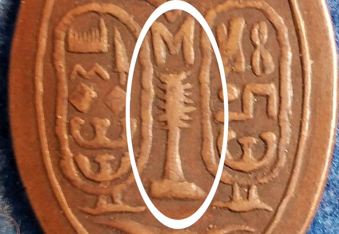 20180611_200824b.jpg