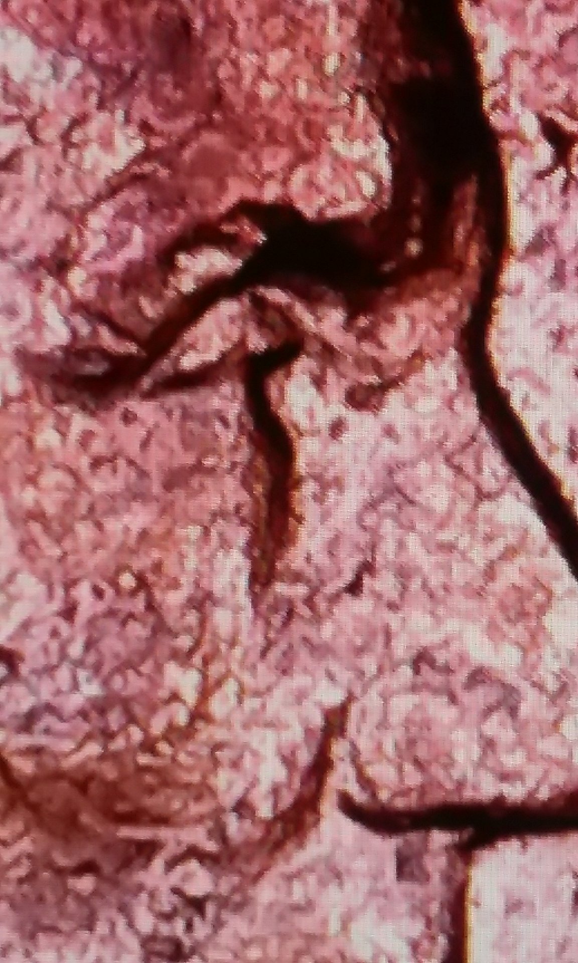 20180624_202758.jpg