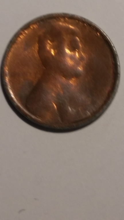 20180625_153153.jpg