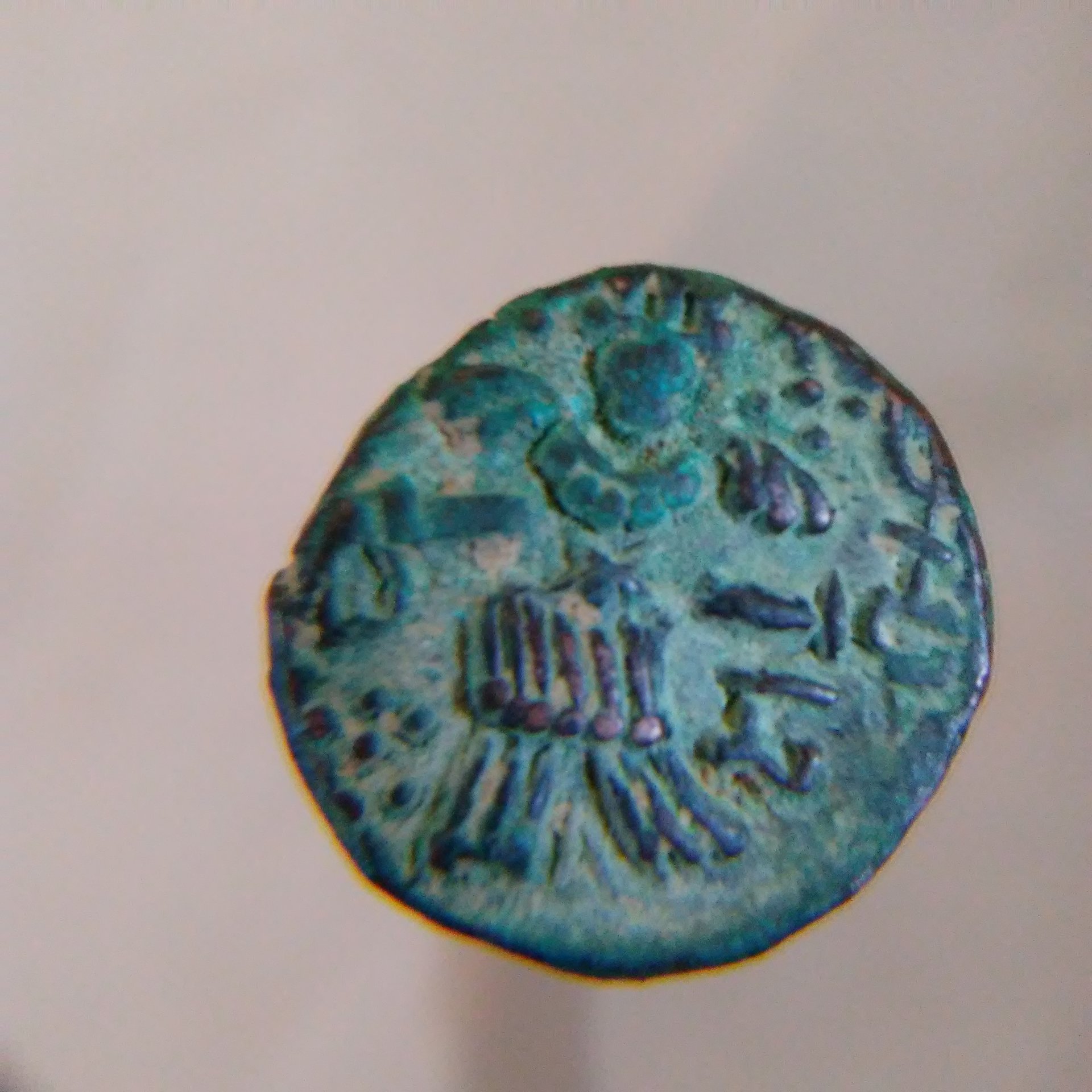 20180630_172657.jpg