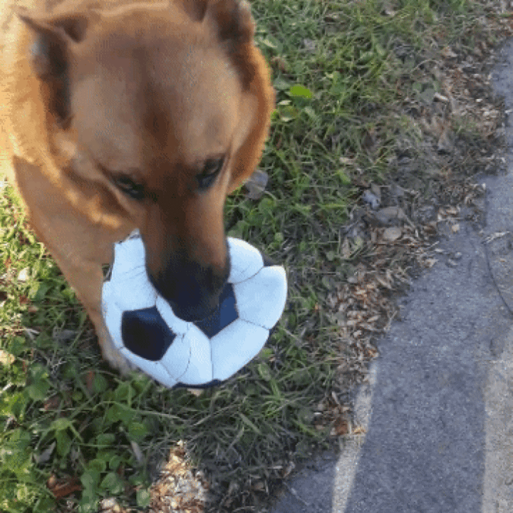 20180703_120535.gif