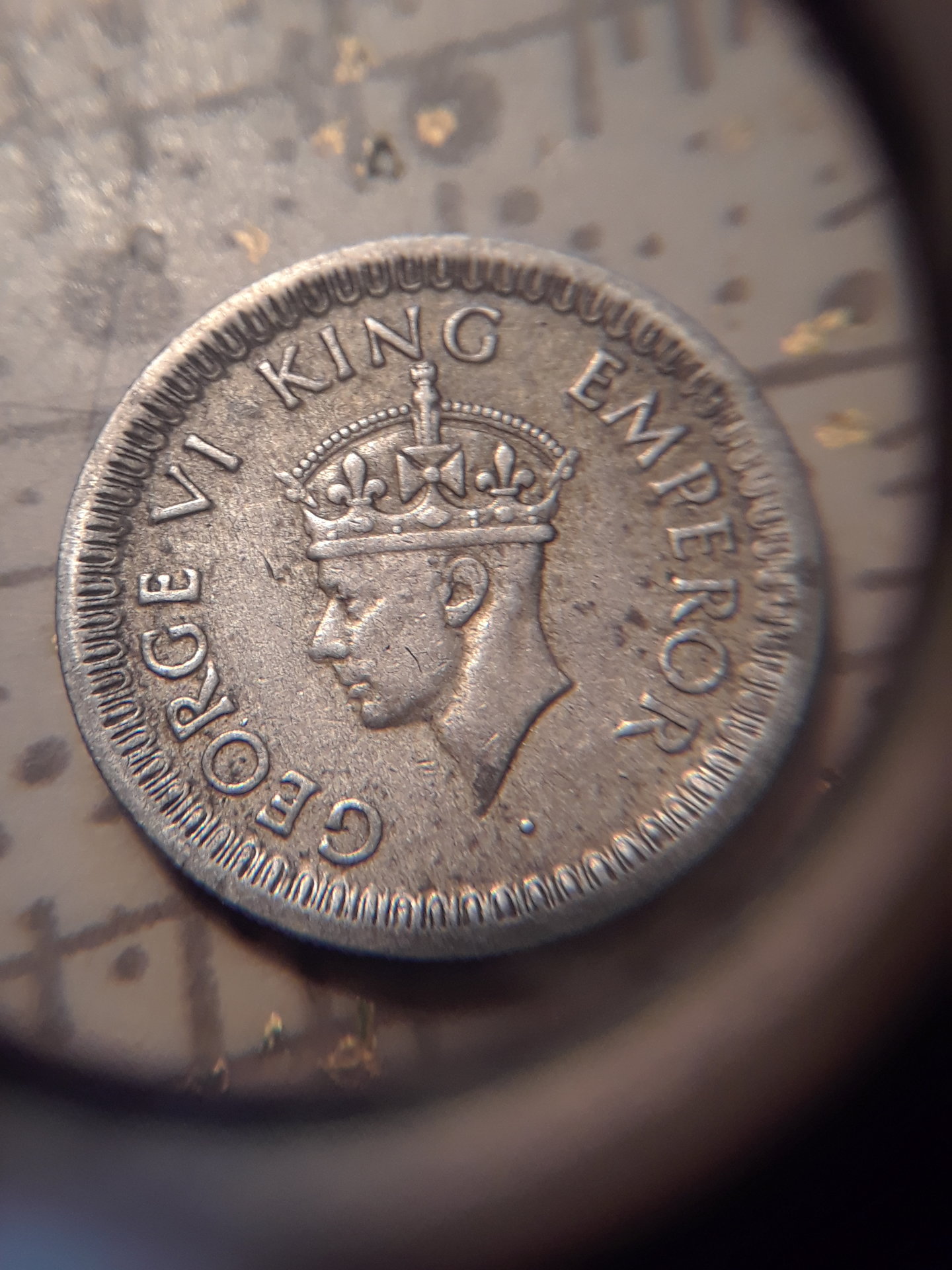 20180707_090444.jpg