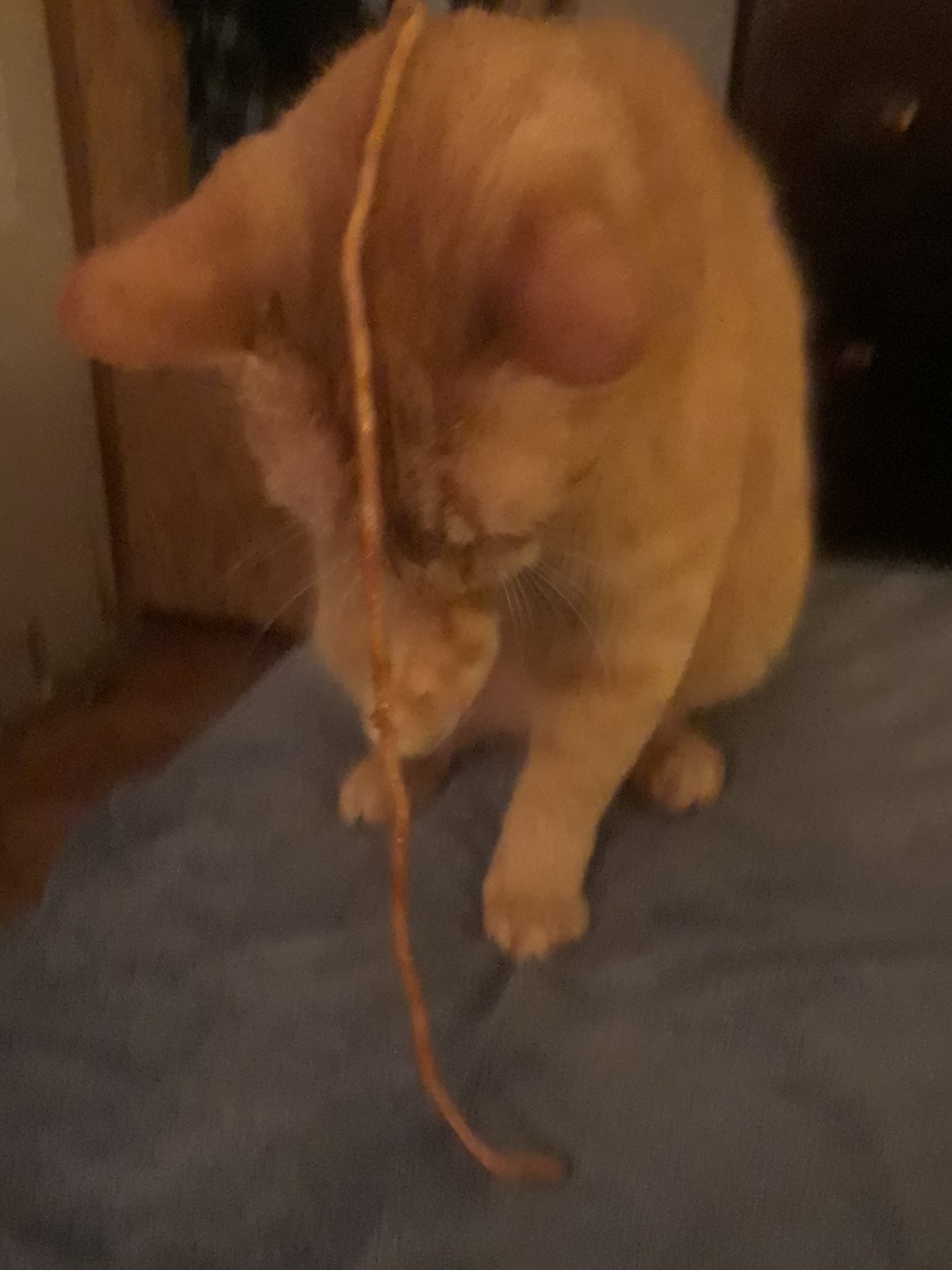 20180707_185651.jpg