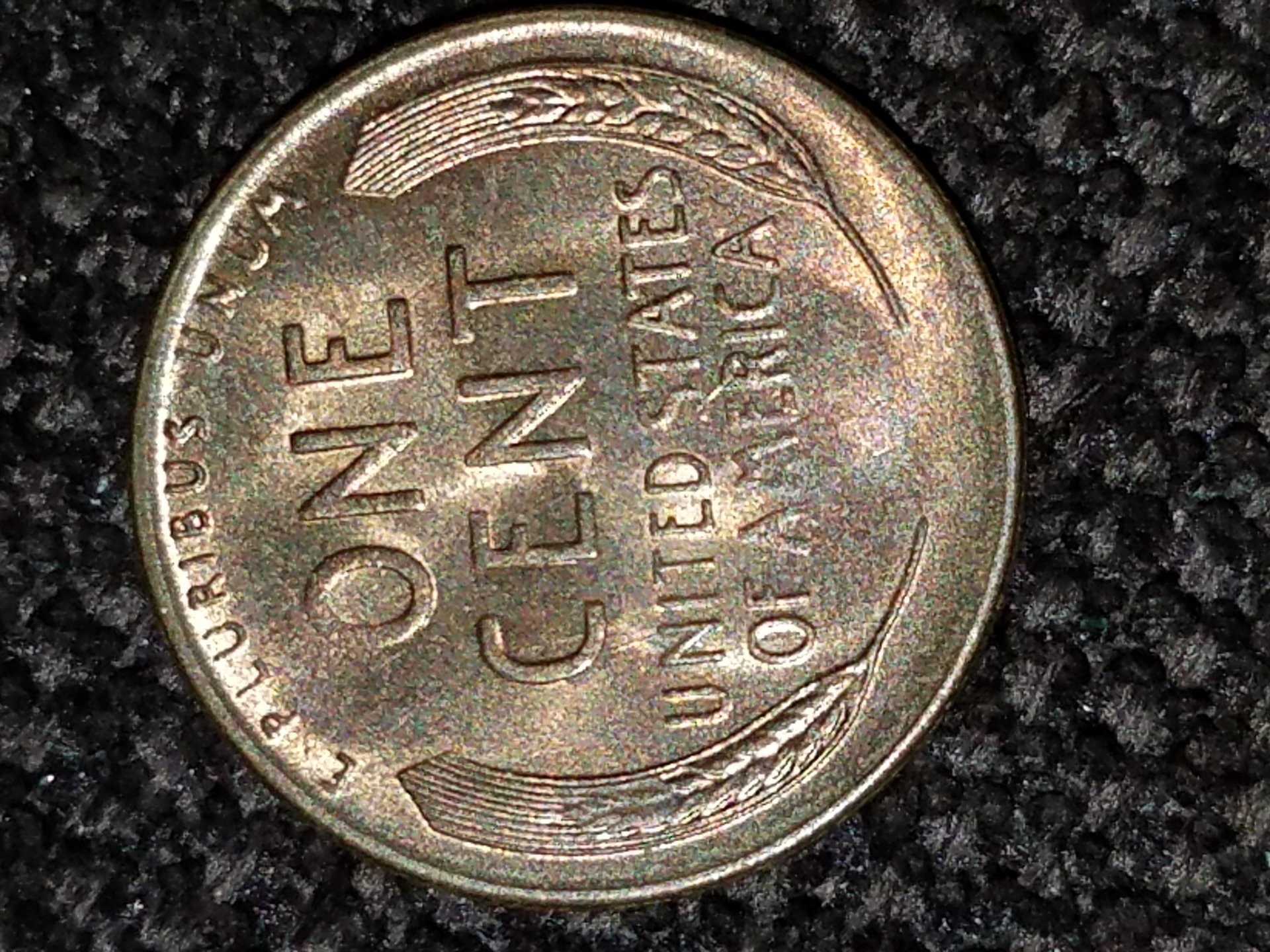 20180708_165822.jpg