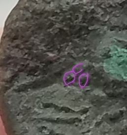 20180710_120700.jpg