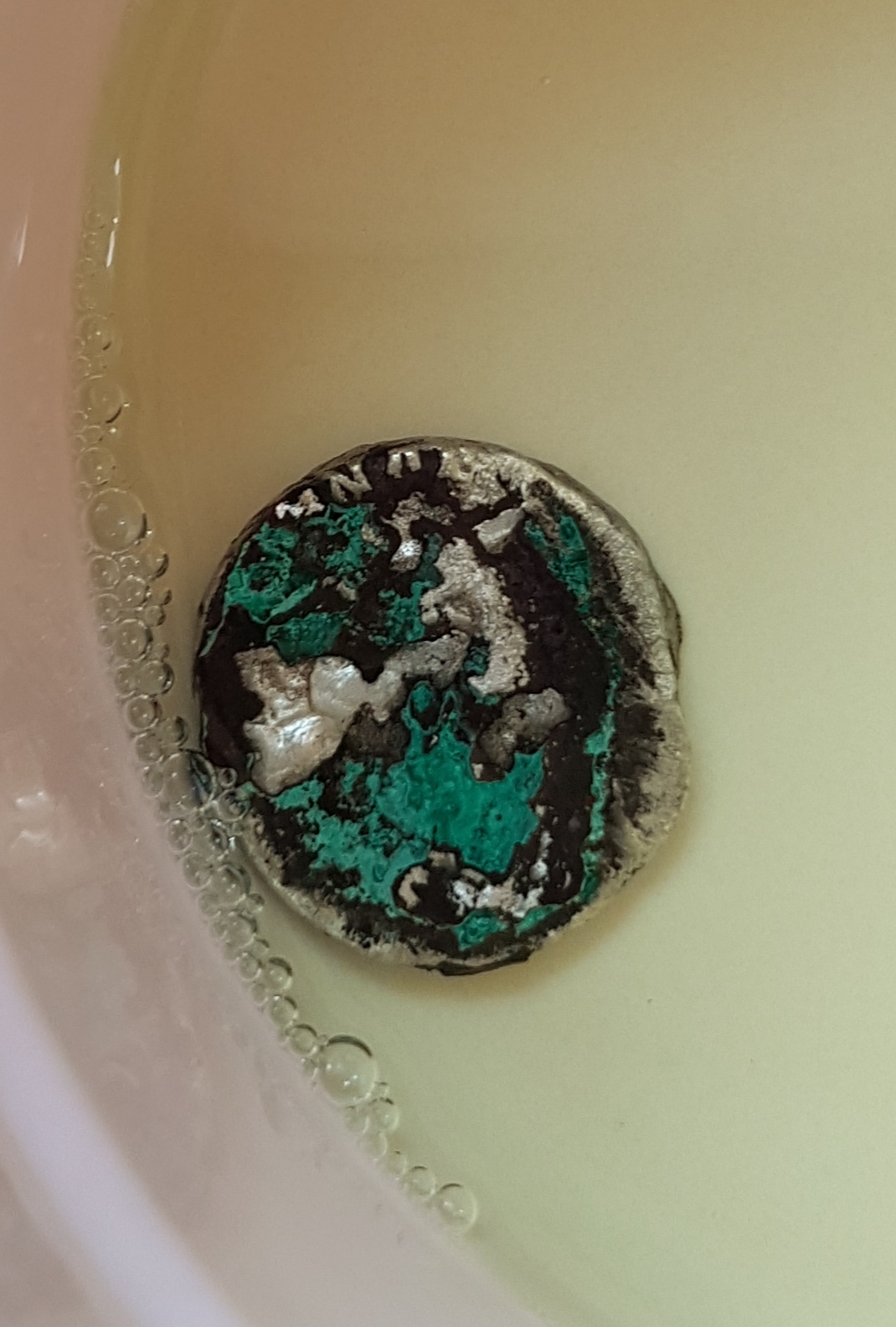 20180714_195516.jpg