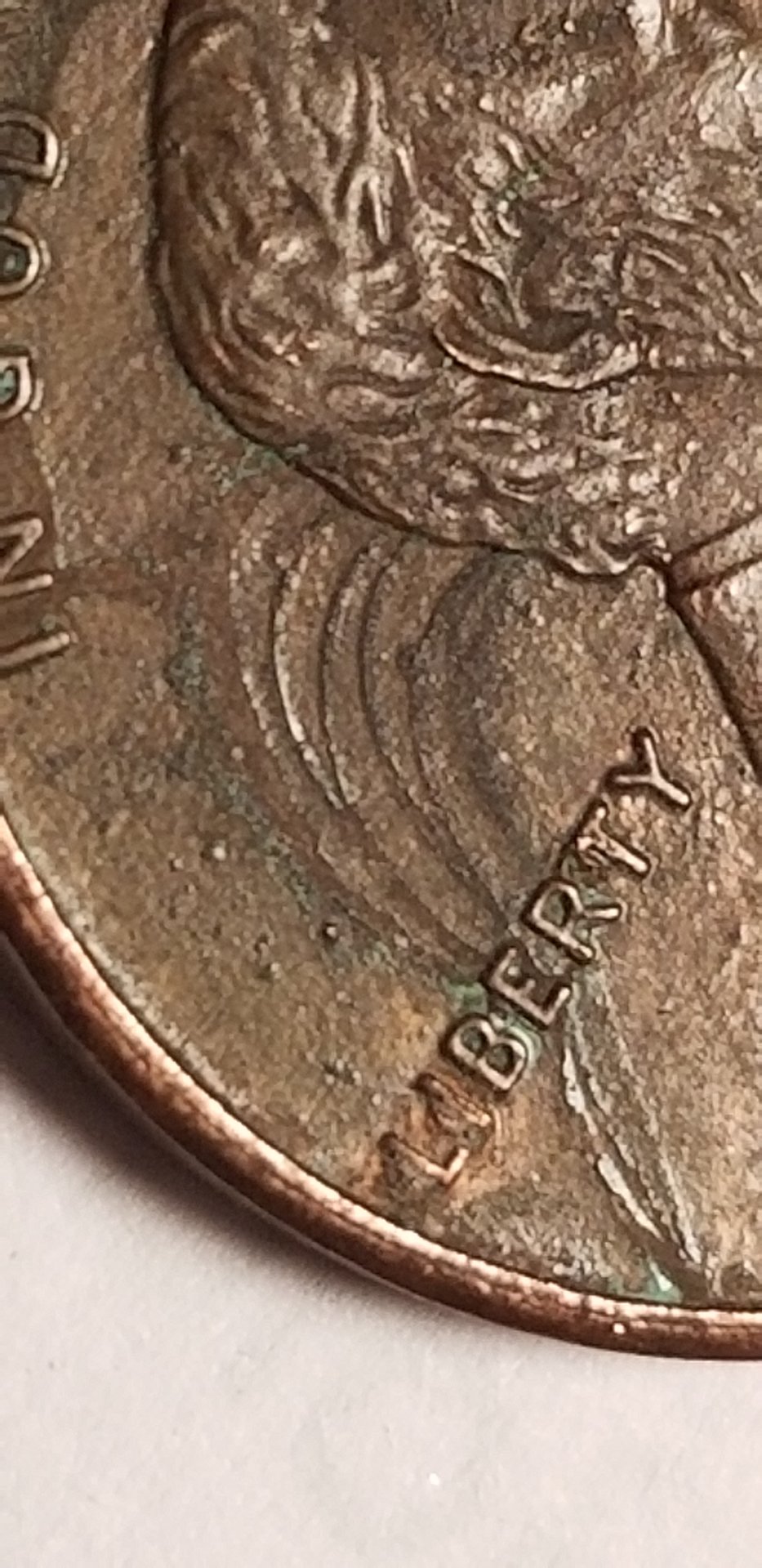 20180717_135531.jpg
