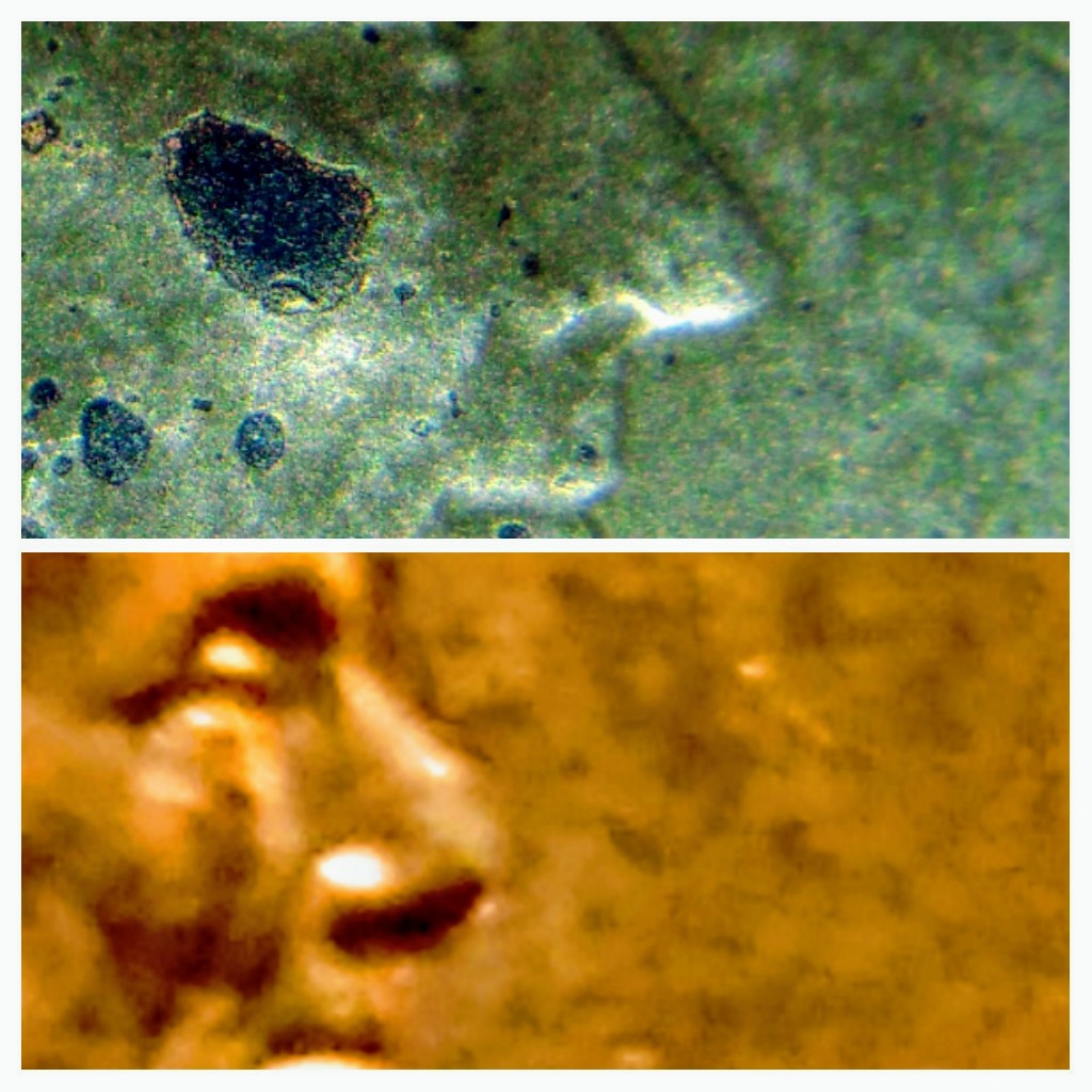 20180725_004203-COLLAGE.jpg
