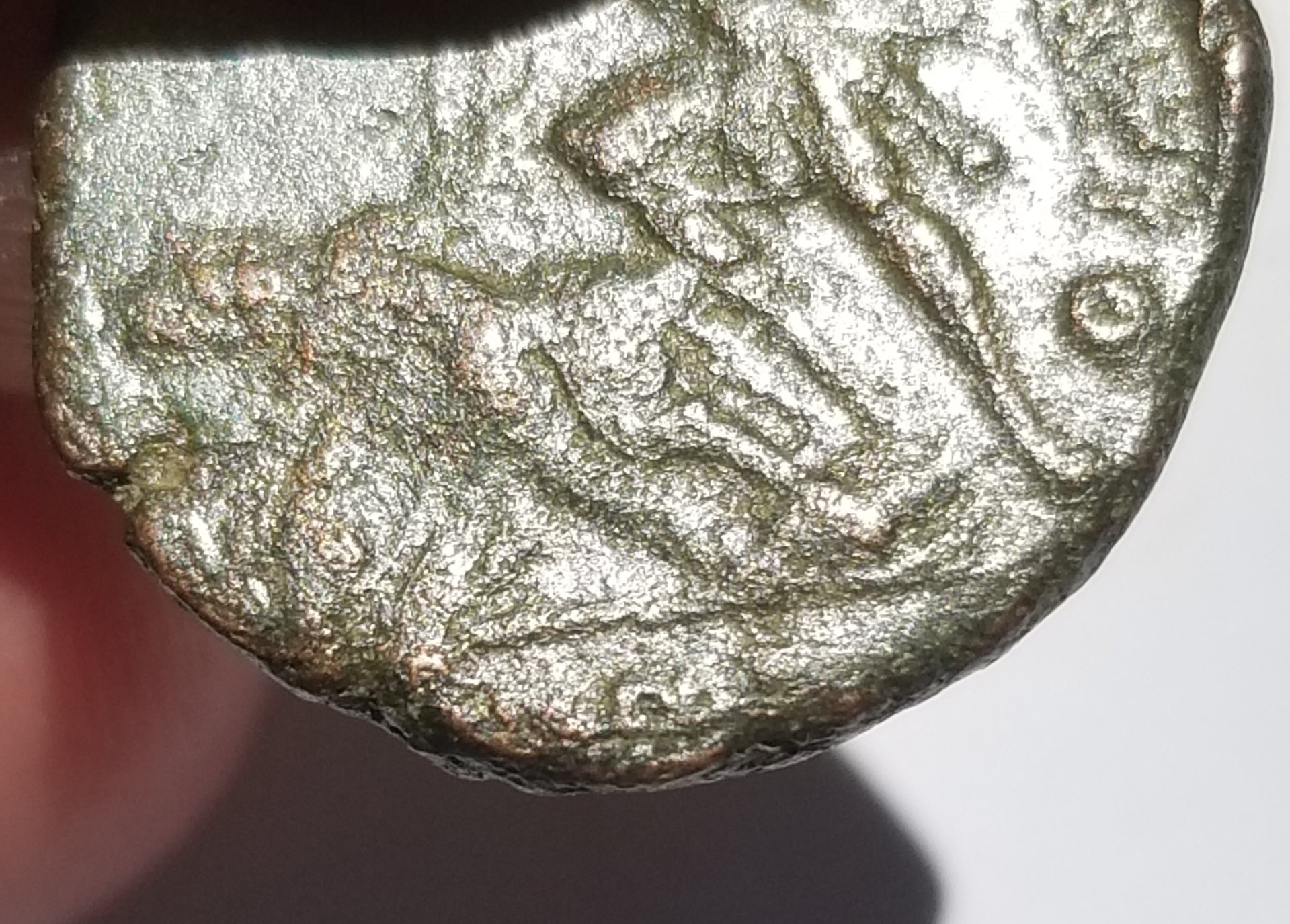 20180731_110513.jpg