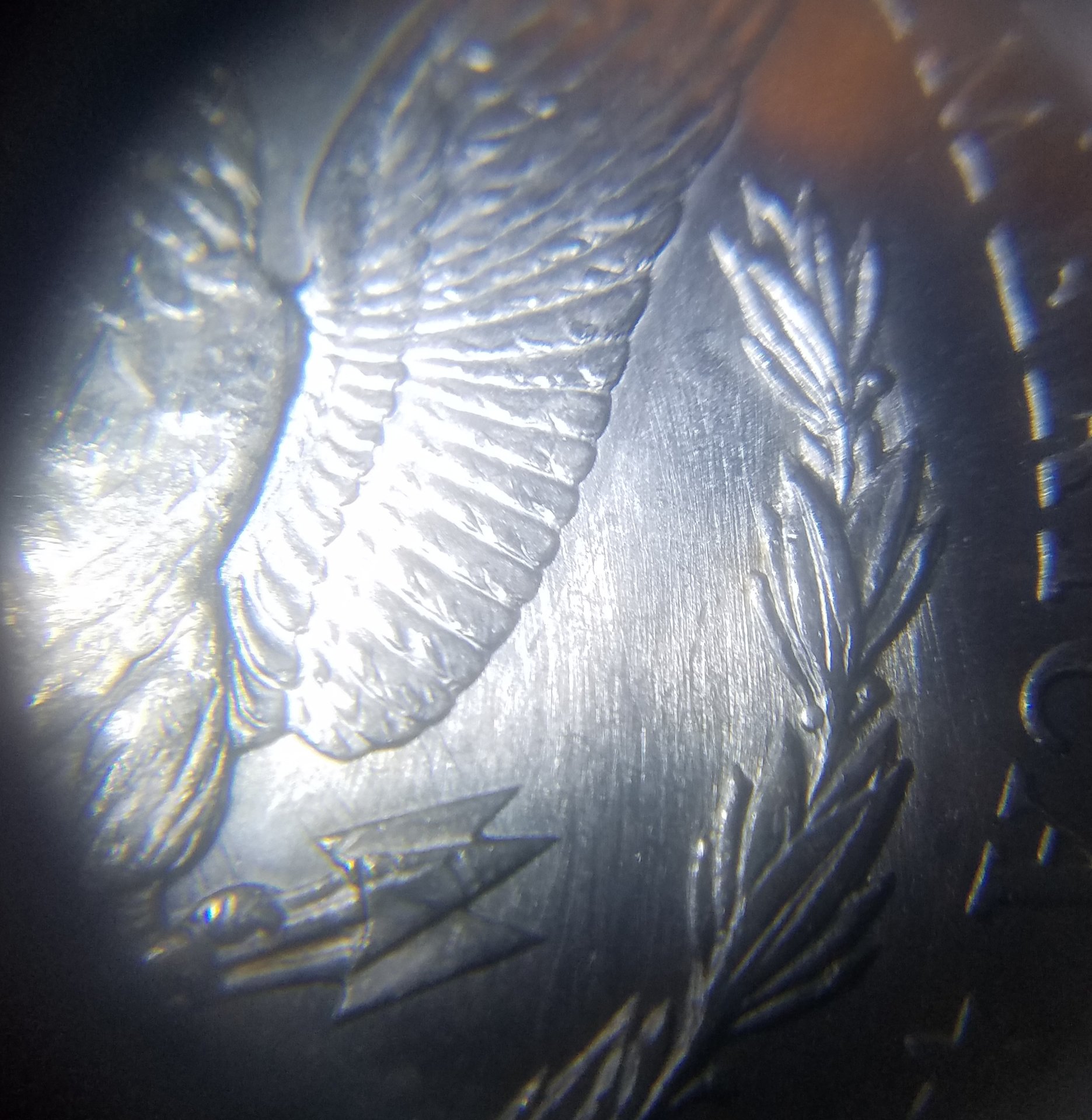 20180813_142204.jpg