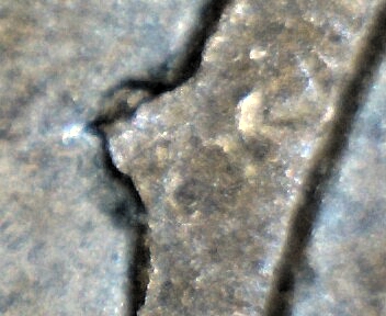 20180821_173425.jpg