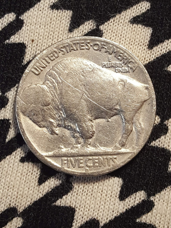 1936-D Buffalo Nickel possible 3 & 1/2 leg | Coin Talk