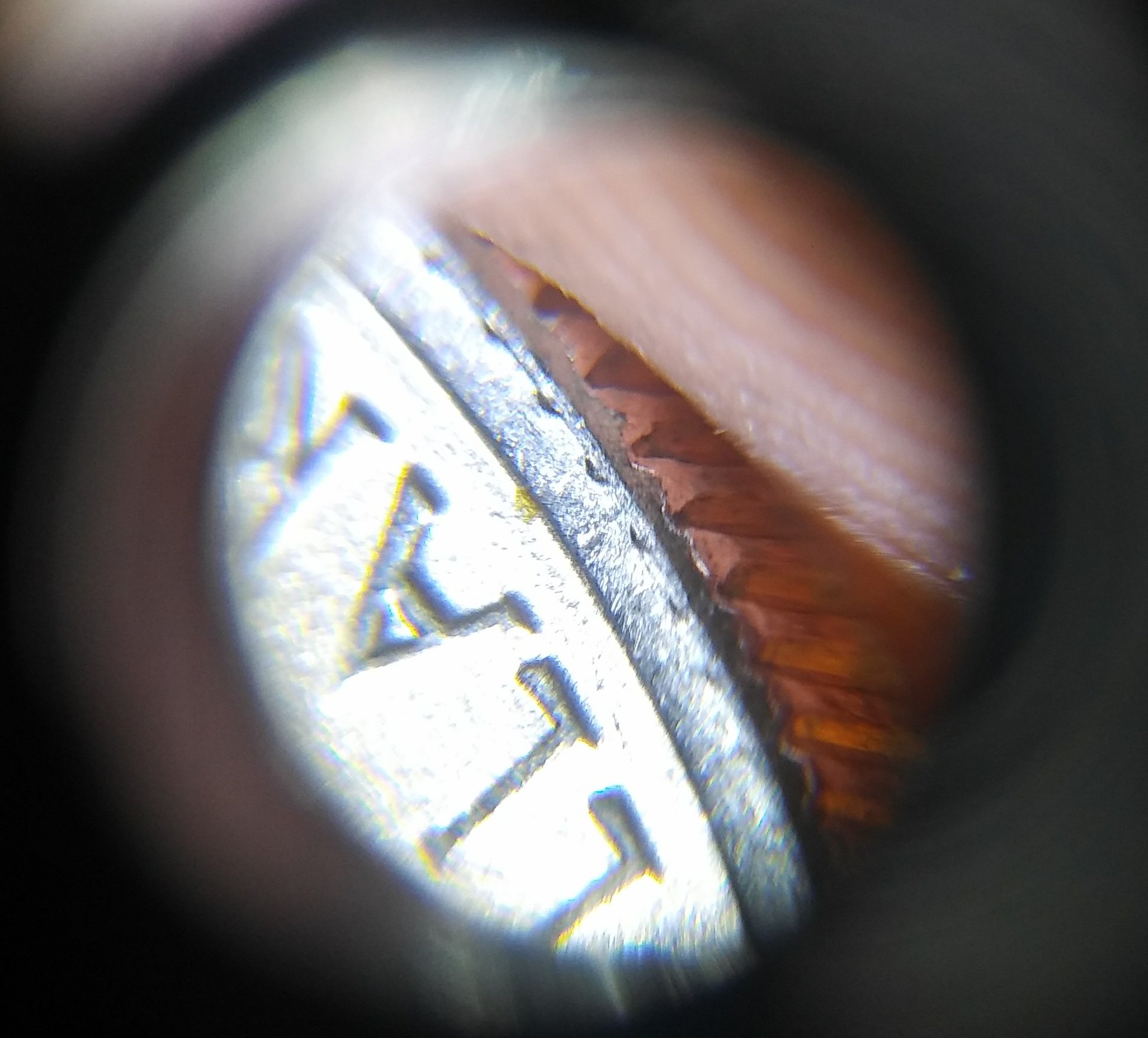 20180822_164200-1.jpg