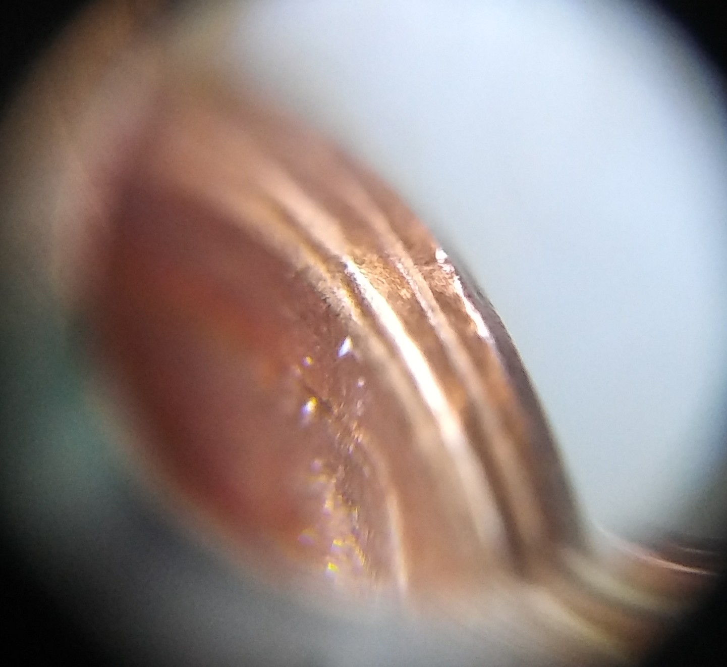 20180822_164910-1.jpg