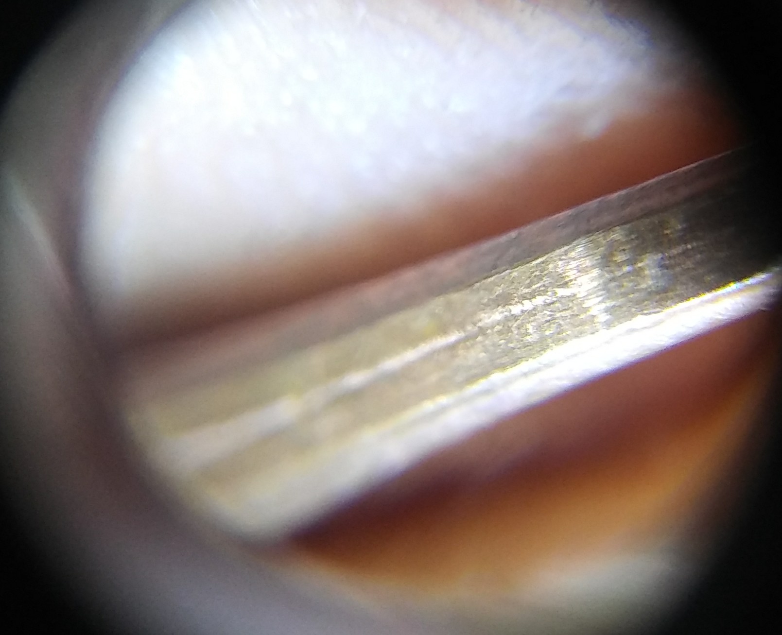 20180822_165048-1.jpg