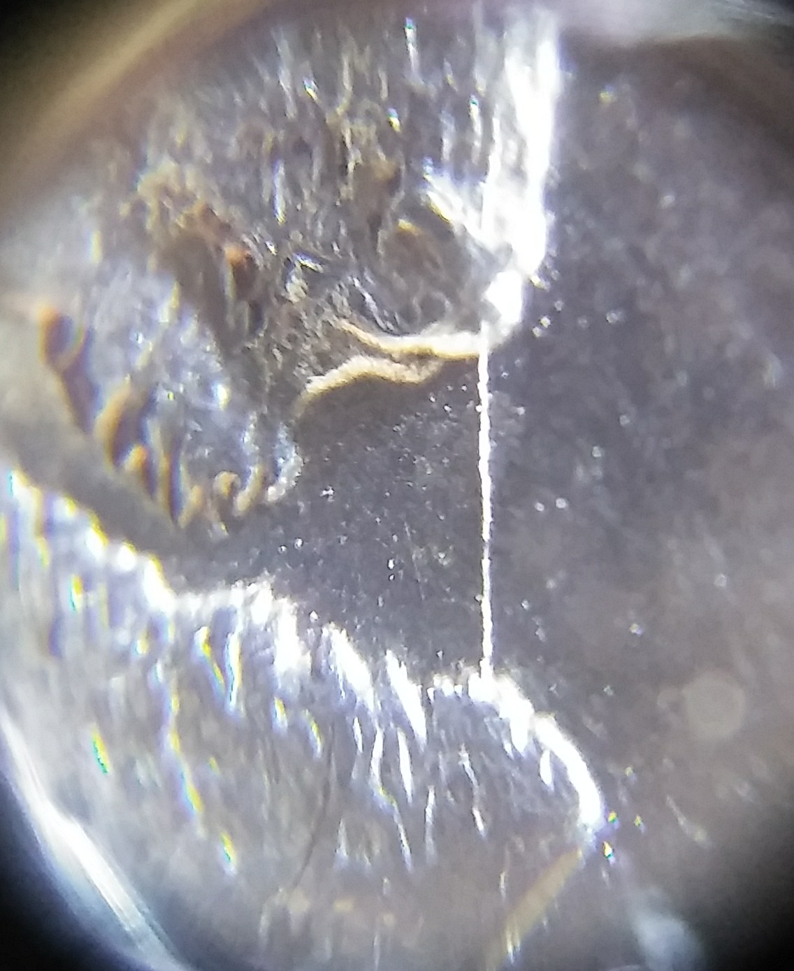 20180830_190908-1.jpg