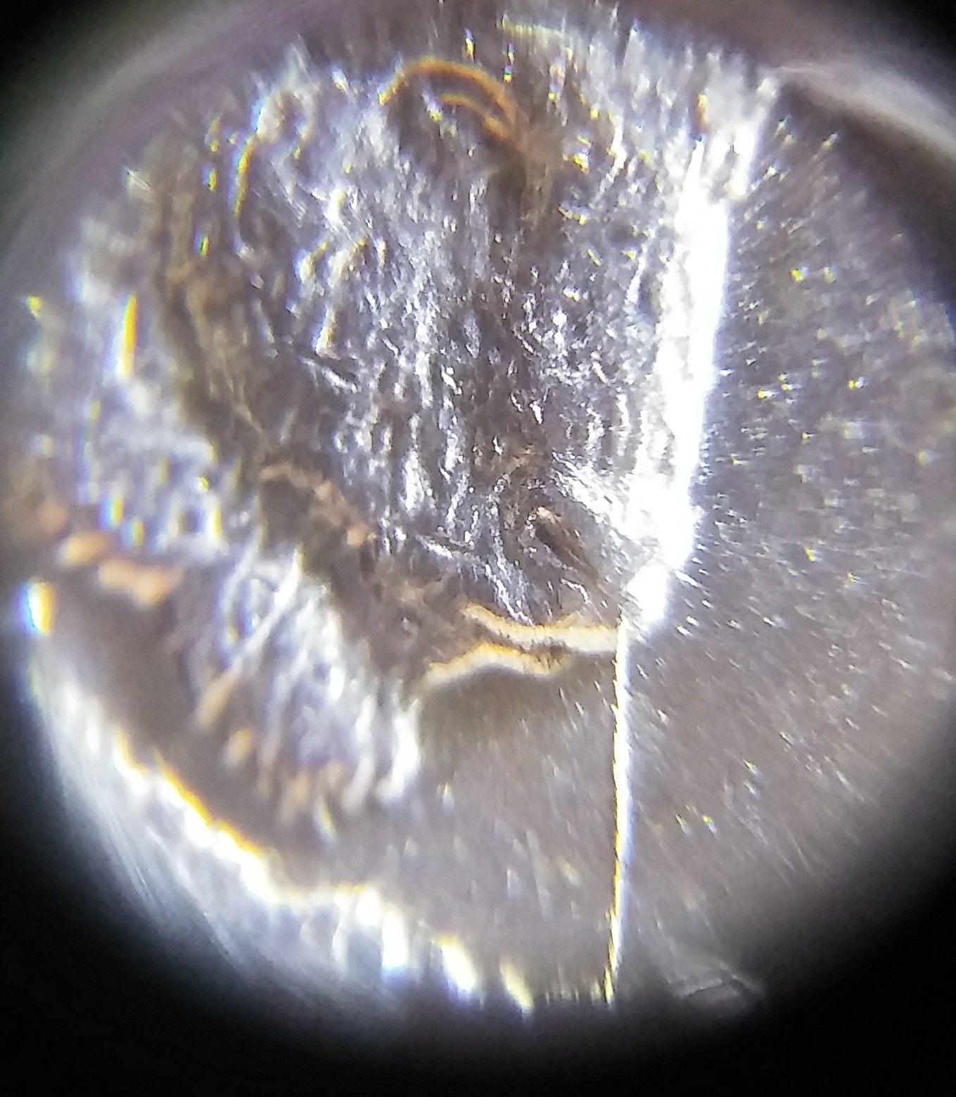 20180830_190920-1.jpg