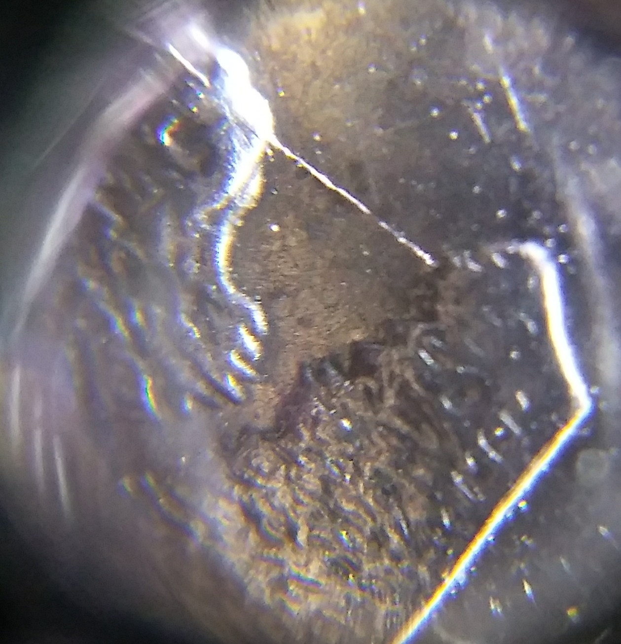 20180830_191016_HDR-1.jpg
