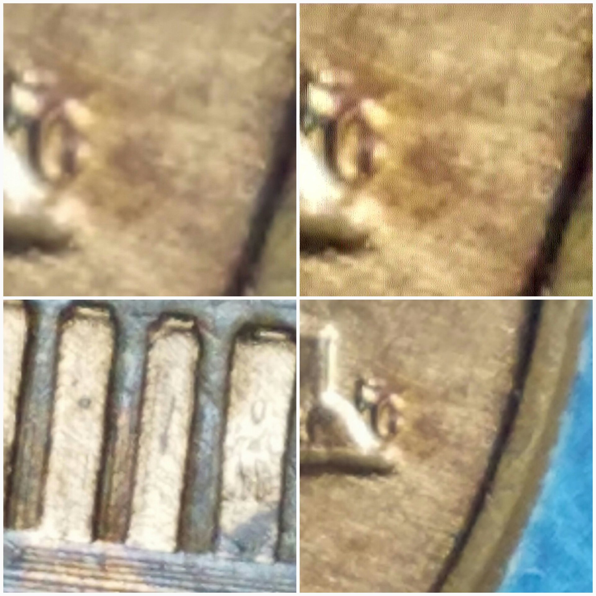 20180901_181500.jpg