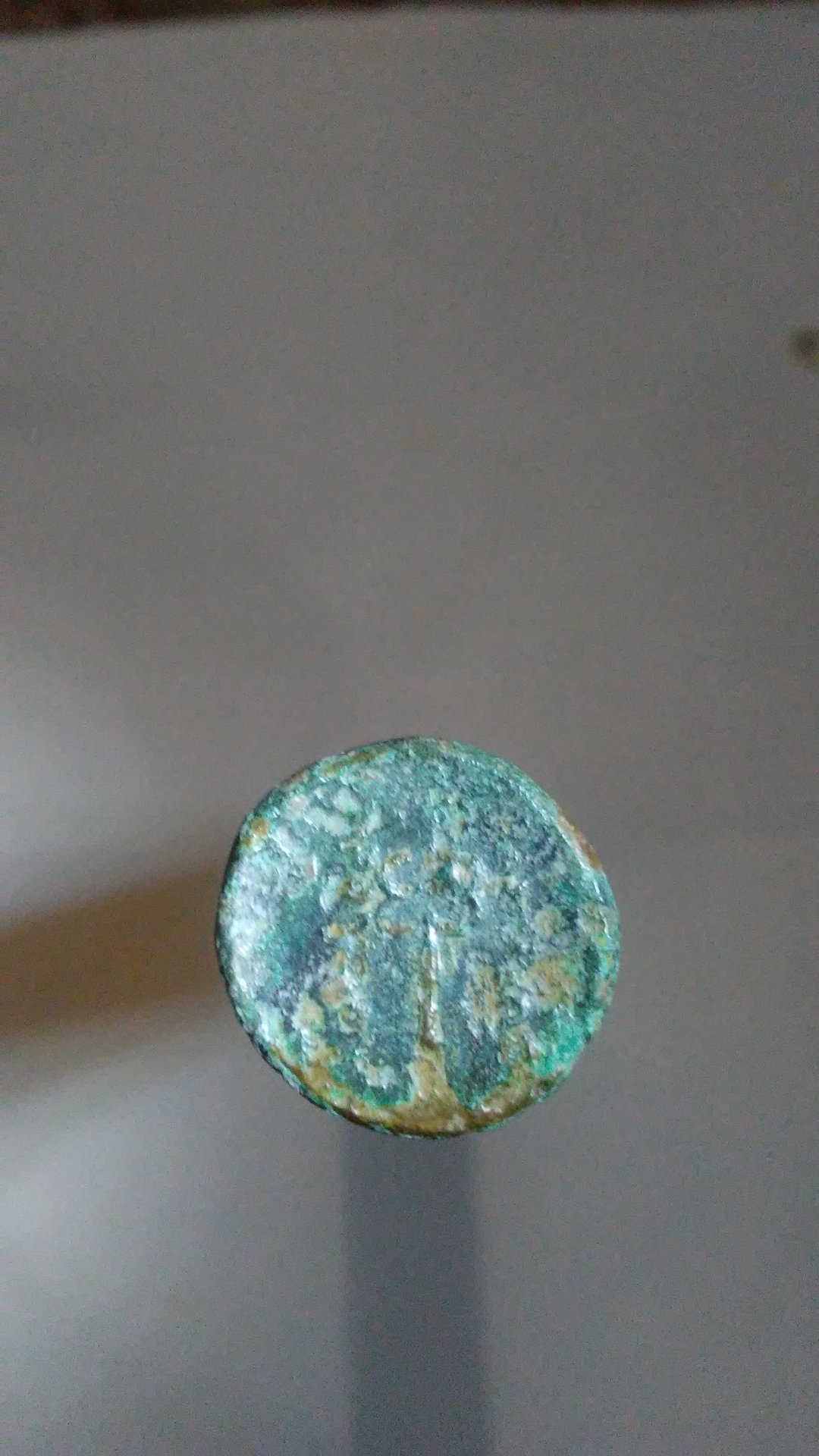 20180903_174042.jpg