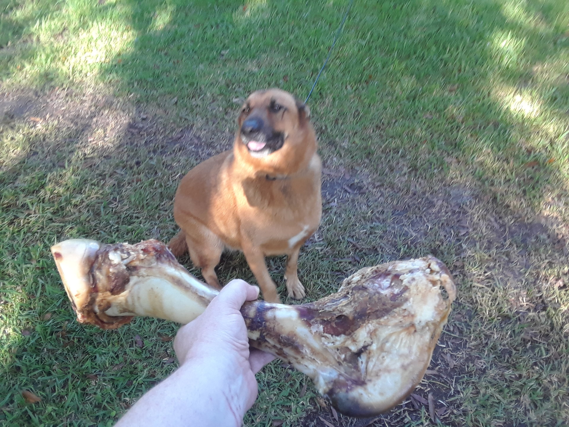 20180907_094626.jpg