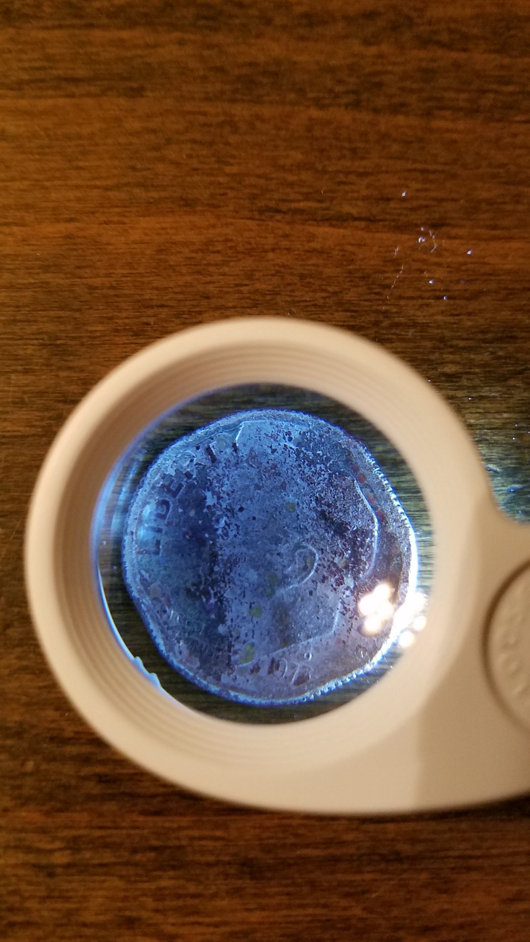 20180912_213008.jpg