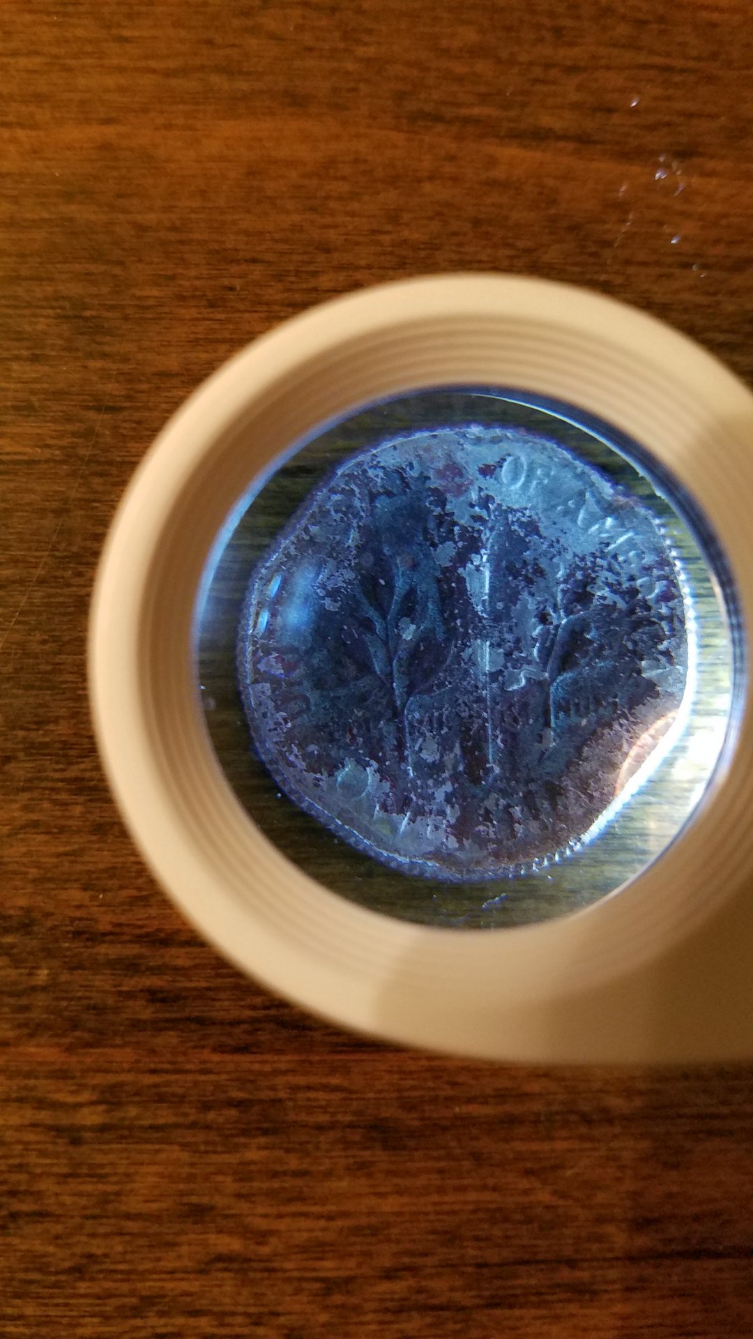 20180912_213028.jpg