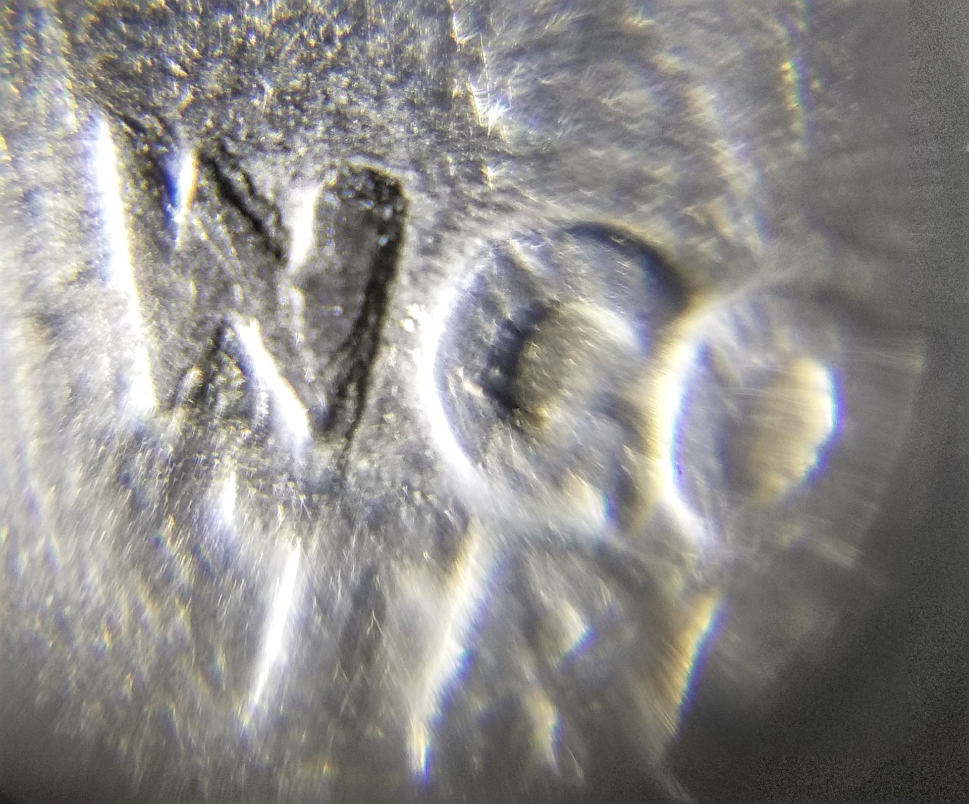 20180915_005923.jpg