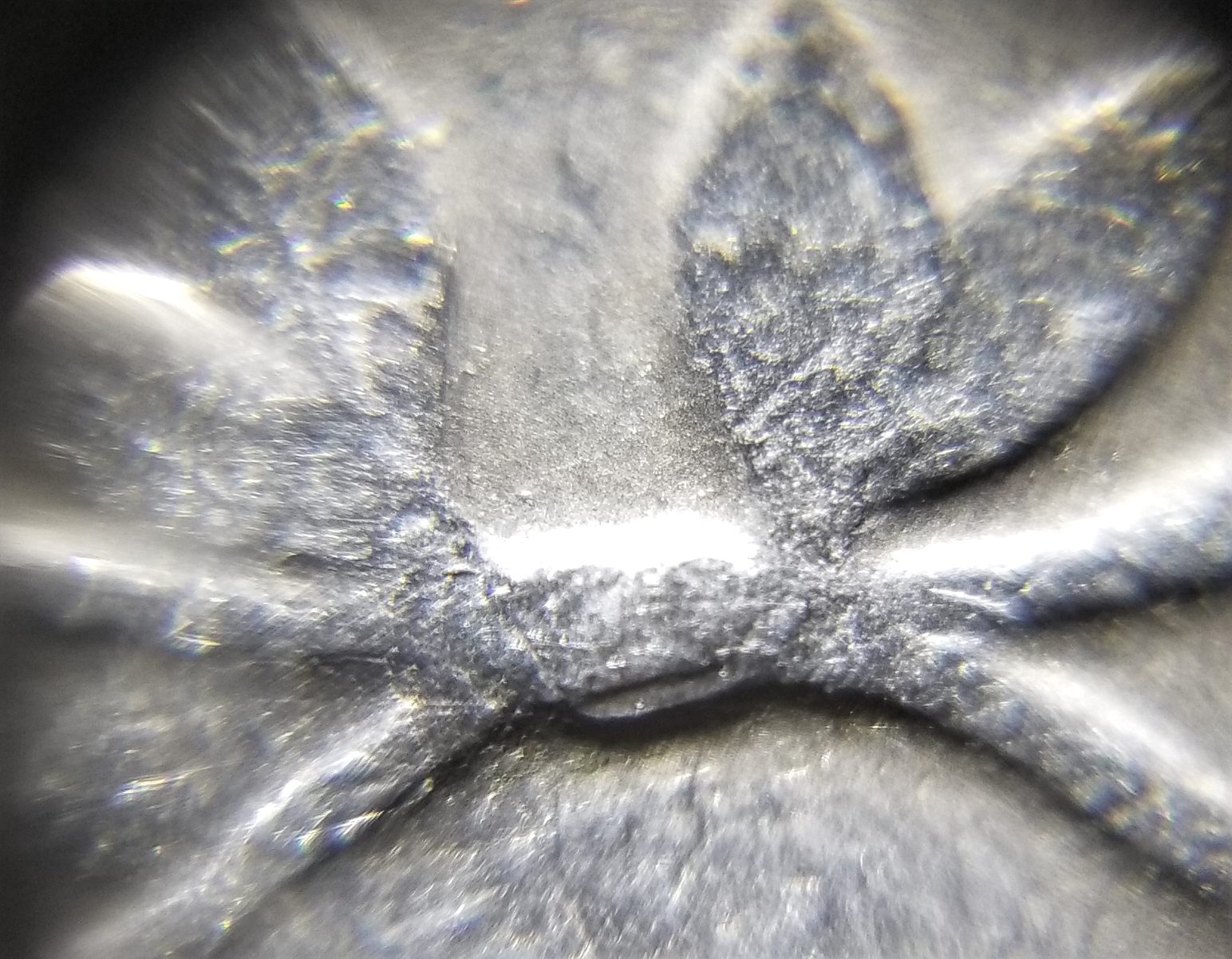20180915_174247.jpg
