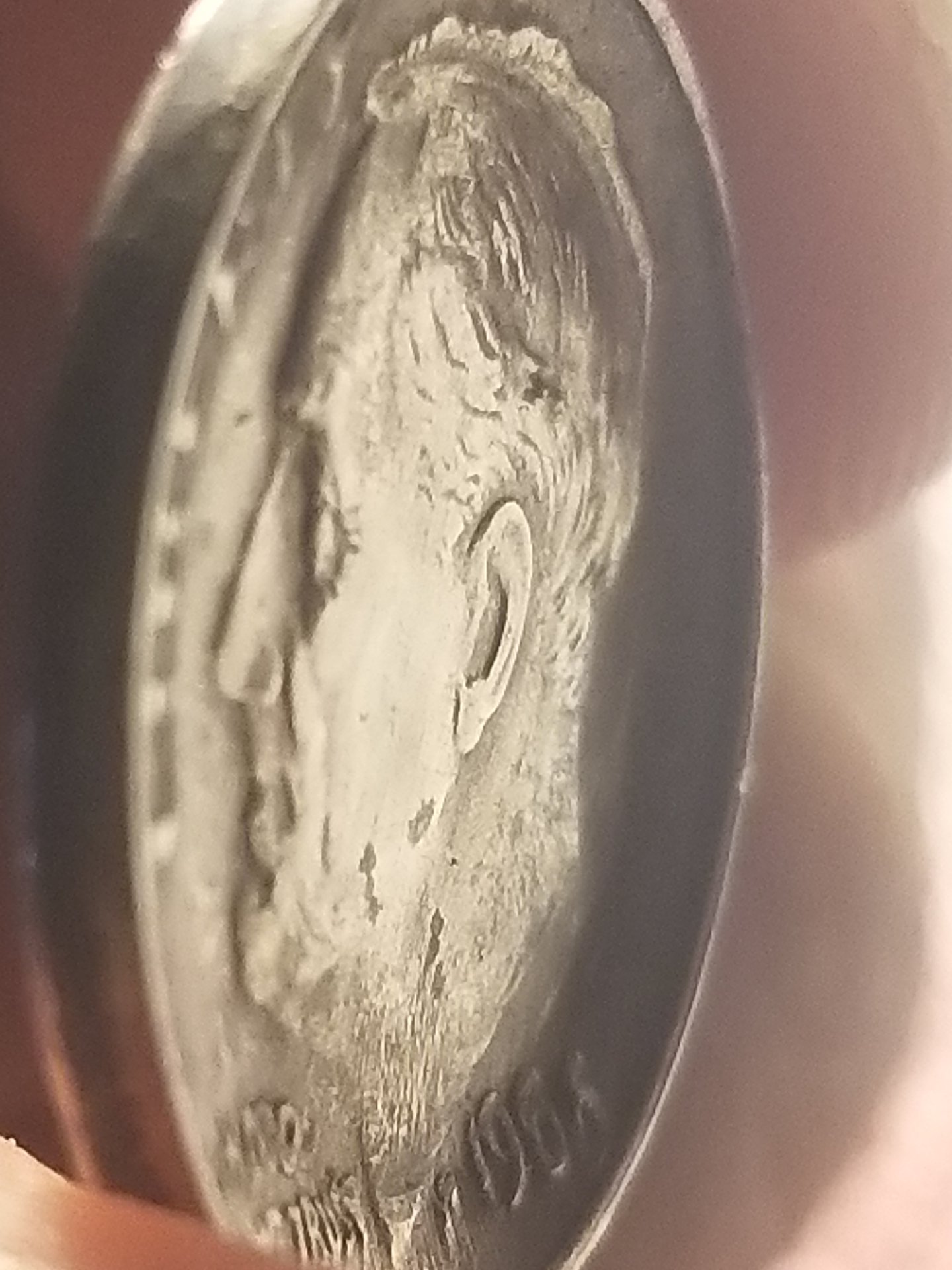 20180922_130658.jpg