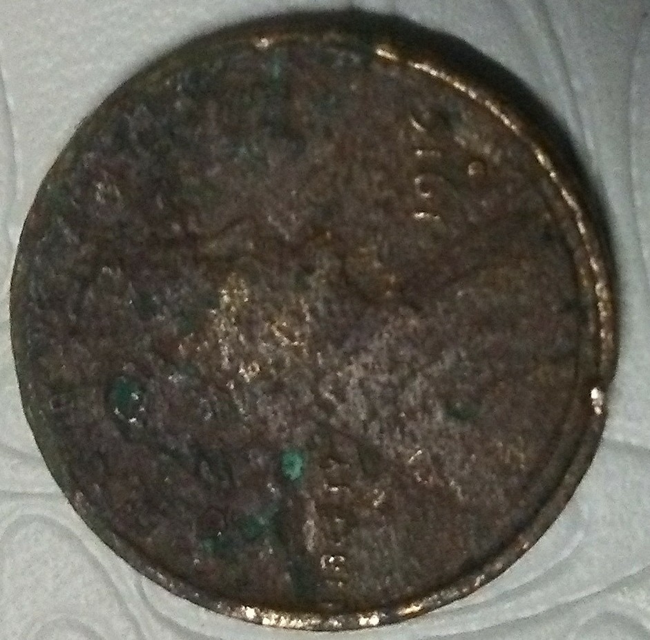 20180922_203956-1-1.jpg