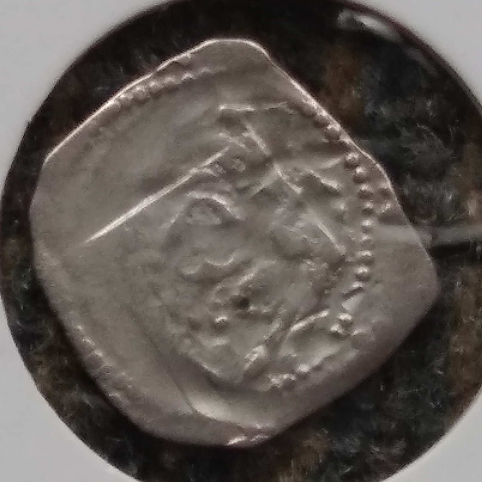 20180924_105342.jpg