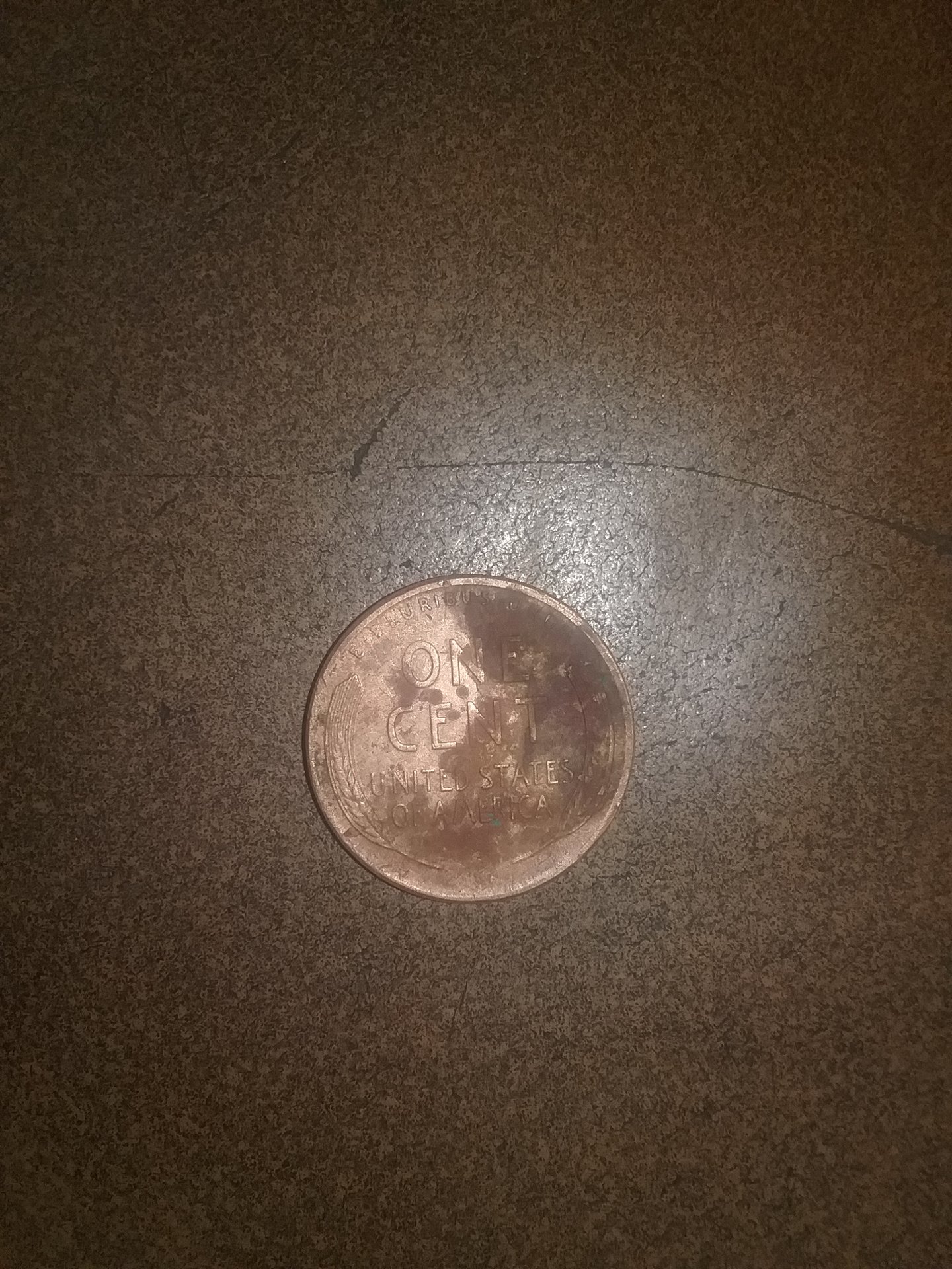 20180926_112908.jpg