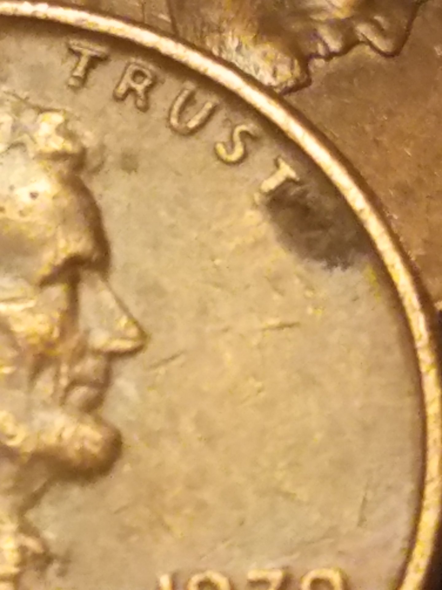 20180927_202125.jpg