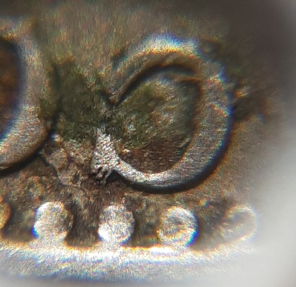 20181005_125113.jpg